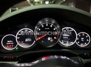 Xe Porsche Cayenne Coupe Platinum Edition 2022