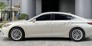 Xe Lexus ES 250 2019