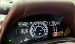 Xe Lexus ES 250 2019