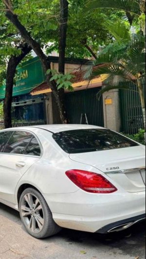 Xe Mercedes Benz C class C250 Exclusive 2017