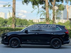 Xe Honda CRV e:HEV RS 2026