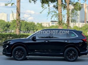Xe Honda CRV e:HEV RS 2026