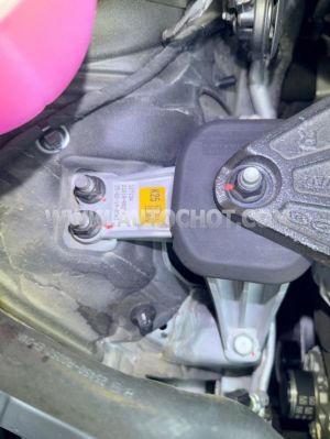 Xe Kia Carnival Signature 2.2D 2026