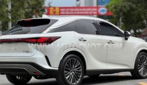 Xe Lexus RX 350 Luxury 2023