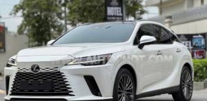 Xe Lexus RX 350 Luxury 2023