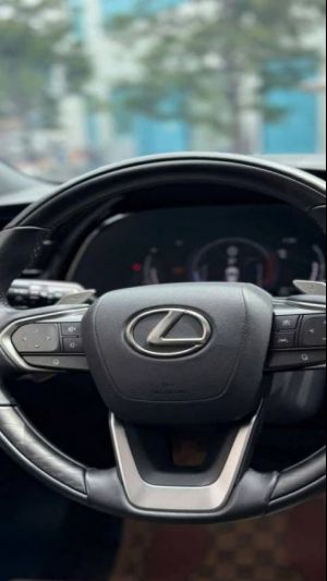 Xe Lexus RX 350 Luxury 2023