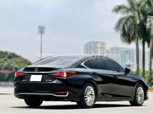 Xe Lexus ES 250 2019