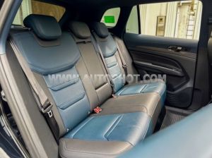 Xe Ford Territory Titanium 1.5 AT 2024