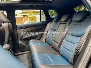 Xe Ford Territory Titanium 1.5 AT 2024