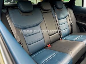 Xe Ford Territory Titanium 1.5 AT 2024