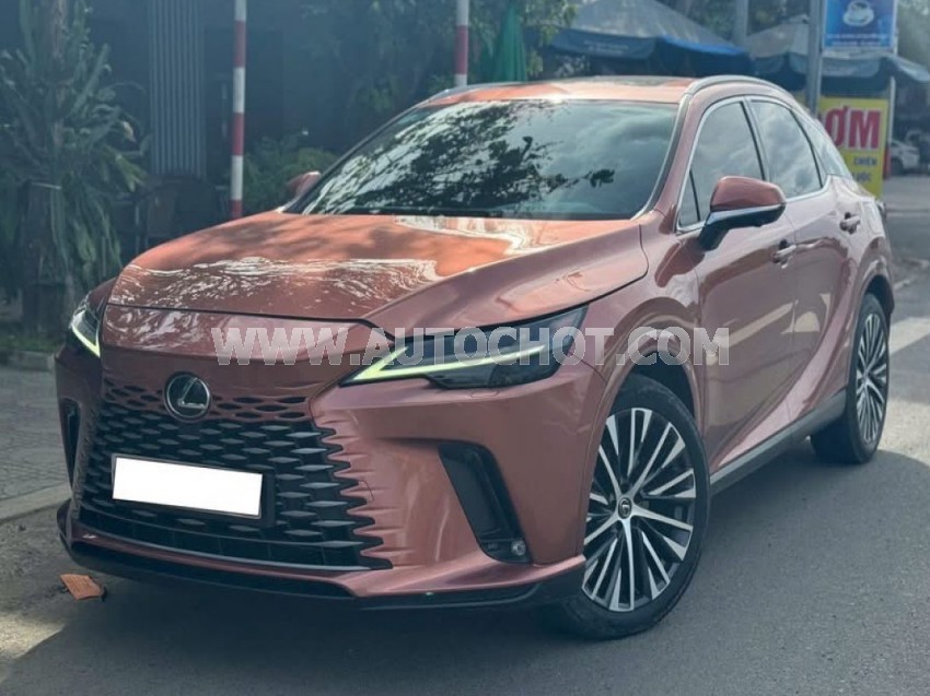 Xe Lexus RX 350 Premium 2023