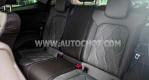 Xe Volkswagen Viloran Luxury 2025