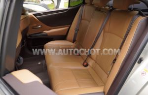 Xe Lexus ES 250 2018