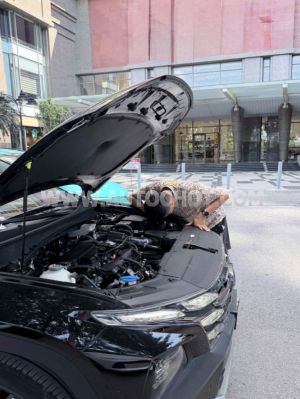 Xe Hyundai Tucson 1.6 AT Turbo HTRAC Đặc biệt 2025