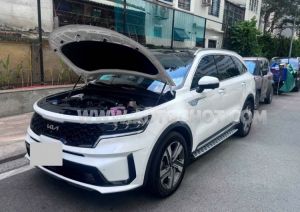 Xe Kia Sorento Signature 1.6 AT AWD Hybrid 2025