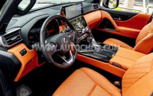 Xe Lexus LX 600 Vip 2025