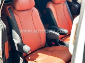 Xe Kia Carnival Signature 2.2D 2025