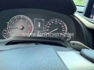 Xe Lexus RX 300 2021