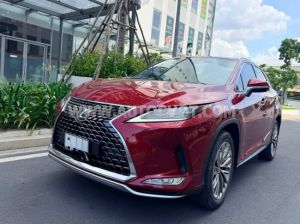 Xe Lexus RX 300 2021