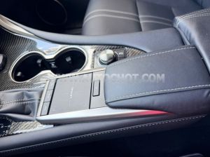 Xe Lexus RX 300 2021