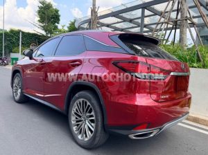 Xe Lexus RX 300 2021