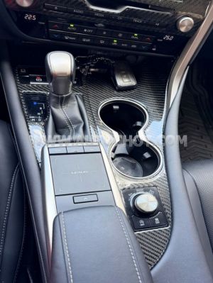 Xe Lexus RX 300 2021