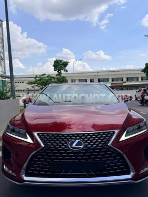 Xe Lexus RX 300 2021