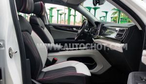 Xe Volkswagen Teramont X Platinum 2.0 AT 2025