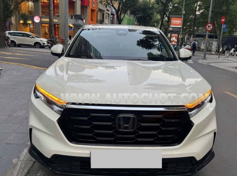 Xe Honda CRV G 2023