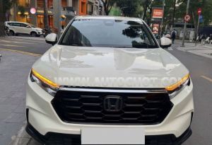Xe Honda CRV G 2023