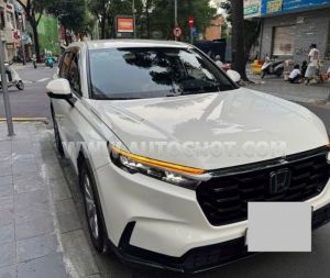 Xe Honda CRV G 2023