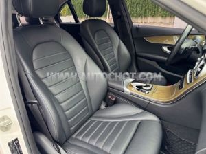Xe Mercedes Benz C class C250 Exclusive 2017