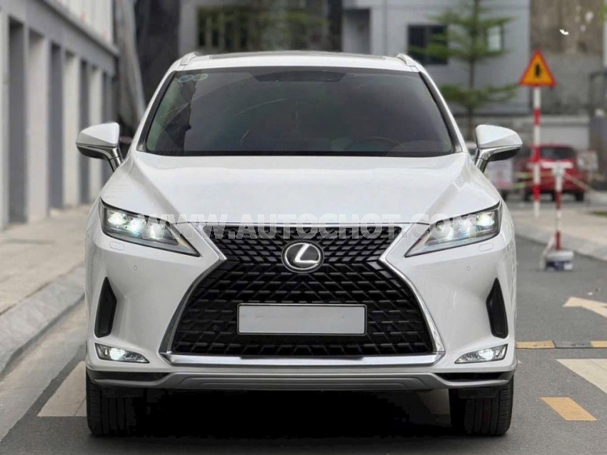 Lexus RX 300 2021