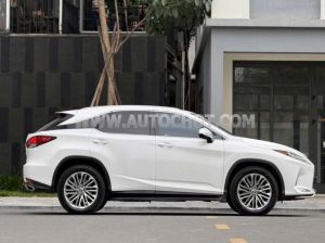 Xe Lexus RX 300 2021