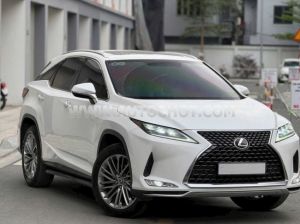 Xe Lexus RX 300 2021