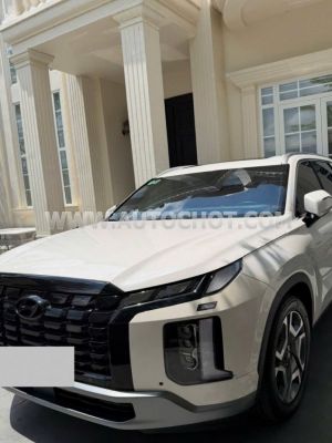 Xe Hyundai Palisade Prestige 2.2 AT HTRAC 2025