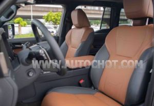 Xe Lexus GX 550 M 2024