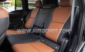 Xe Lexus GX 550 M 2024