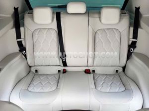 Xe Volkswagen Viloran Luxury 2024