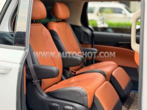 Xe Kia Carnival Signature 2.2D 2023
