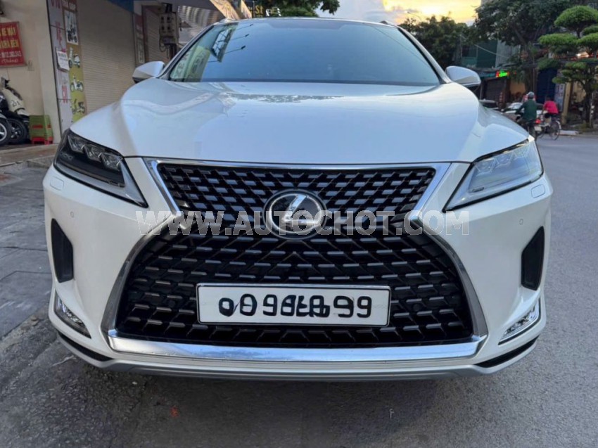 Lexus RX 300 2021