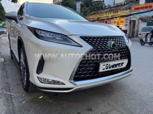 Xe Lexus RX 300 2021