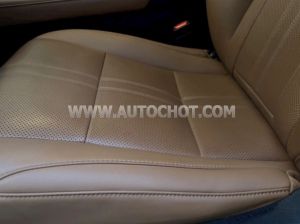 Xe Lexus RX 300 2021