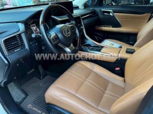 Xe Lexus RX 300 2021