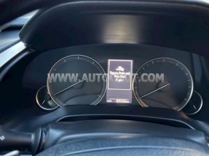 Xe Lexus RX 300 2021