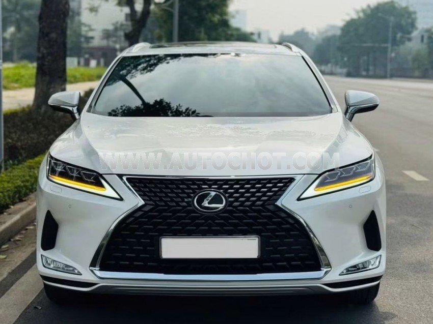 Lexus RX 300 2022
