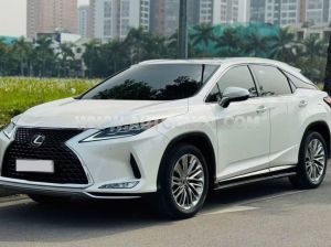 Xe Lexus RX 300 2022
