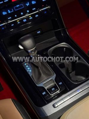 Xe Kia Carnival Luxury 2.2D 2024