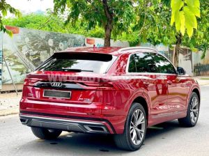 Xe Audi Q8 55 TFSI S-Line Quattro 2022
