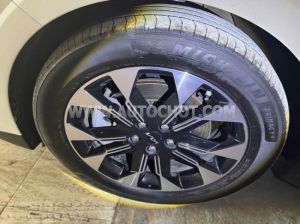 Xe Kia Carnival Luxury 2.2D 2024